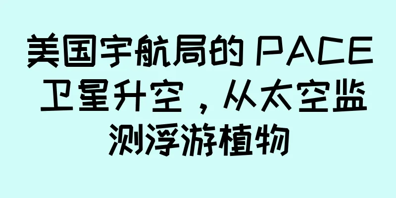 美国宇航局的 PACE 卫星升空，从太空监测浮游植物