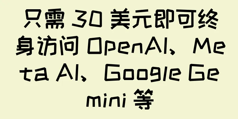只需 30 美元即可终身访问 OpenAI、Meta AI、Google Gemini 等