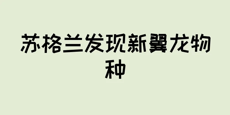 苏格兰发现新翼龙物种