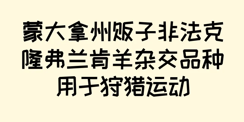 蒙大拿州贩子非法克隆弗兰肯羊杂交品种用于狩猎运动
