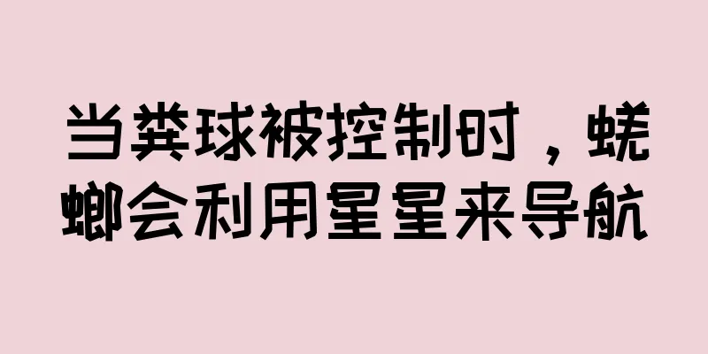 当粪球被控制时，蜣螂会利用星星来导航