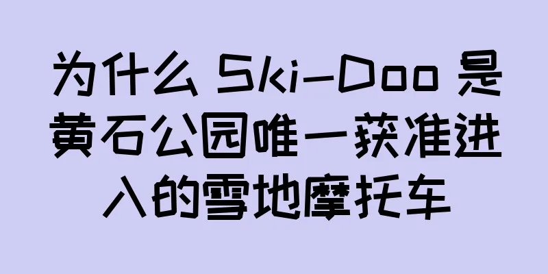 为什么 Ski-Doo 是黄石公园唯一获准进入的雪地摩托车
