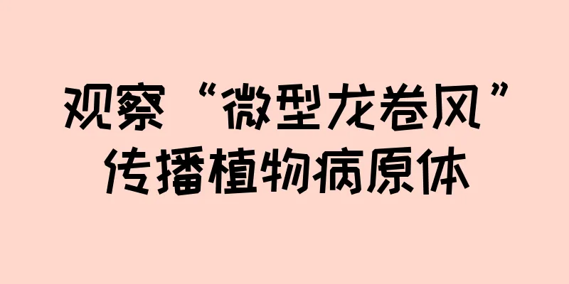 观察“微型龙卷风”传播植物病原体