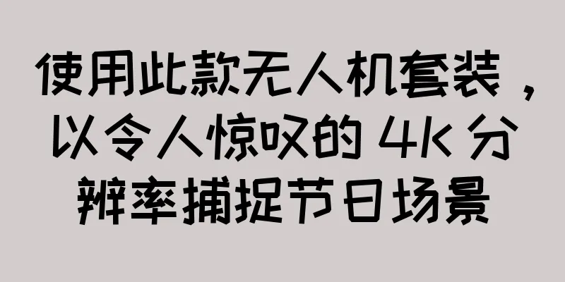 使用此款无人机套装，以令人惊叹的 4K 分辨率捕捉节日场景