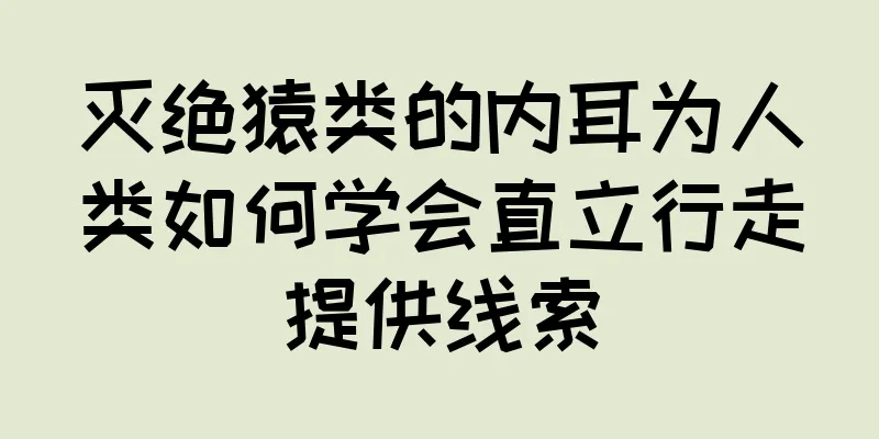 灭绝猿类的内耳为人类如何学会直立行走提供线索