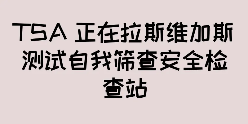 TSA 正在拉斯维加斯测试自我筛查安全检查站