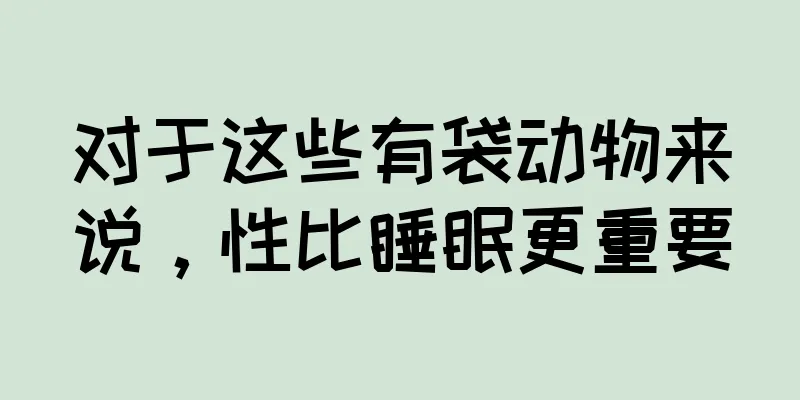 对于这些有袋动物来说，性比睡眠更重要