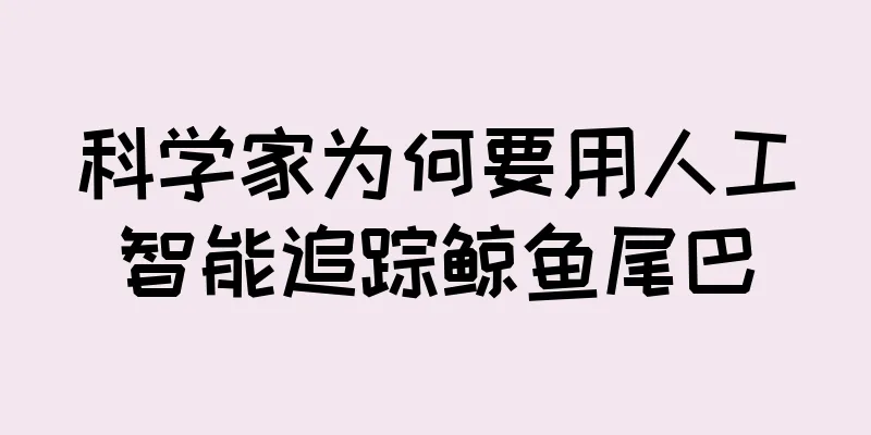 科学家为何要用人工智能追踪鲸鱼尾巴