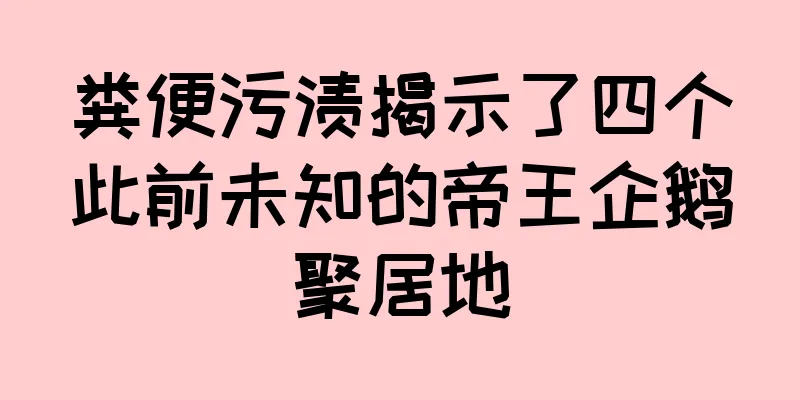 粪便污渍揭示了四个此前未知的帝王企鹅聚居地