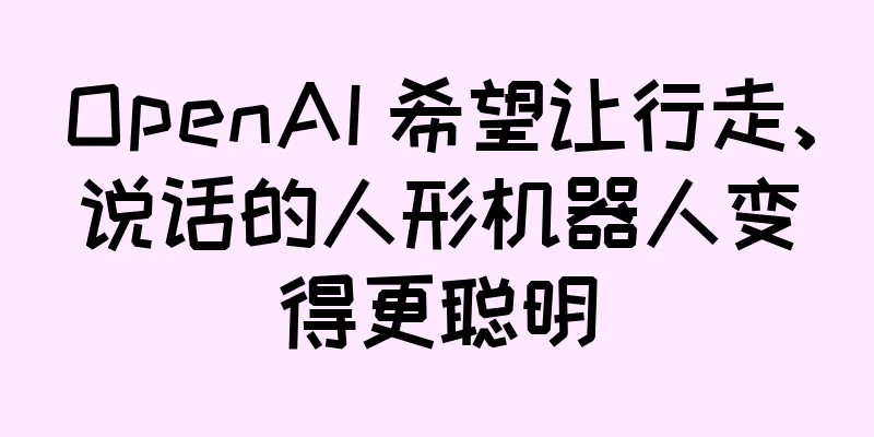 OpenAI 希望让行走、说话的人形机器人变得更聪明