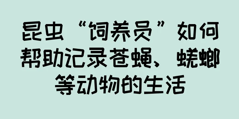 昆虫“饲养员”如何帮助记录苍蝇、蜣螂等动物的生活