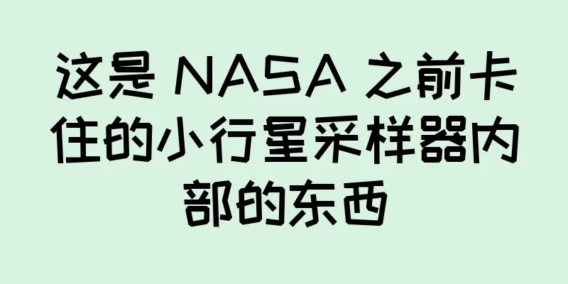 这是 NASA 之前卡住的小行星采样器内部的东西