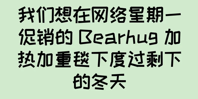 我们想在网络星期一促销的 Bearhug 加热加重毯下度过剩下的冬天