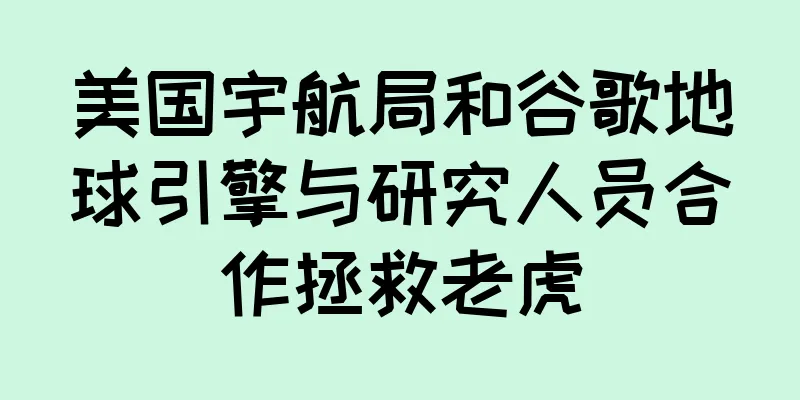 美国宇航局和谷歌地球引擎与研究人员合作拯救老虎