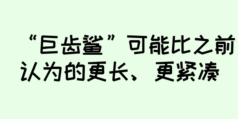 “巨齿鲨”可能比之前认为的更长、更紧凑