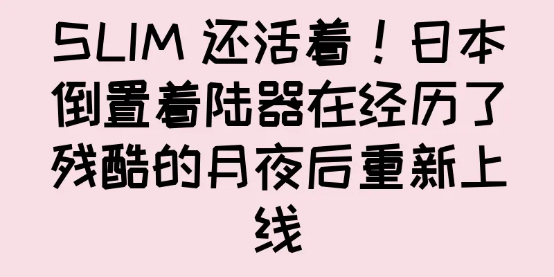 SLIM 还活着！日本倒置着陆器在经历了残酷的月夜后重新上线