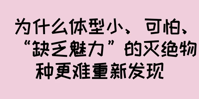 为什么体型小、可怕、“缺乏魅力”的灭绝物种更难重新发现