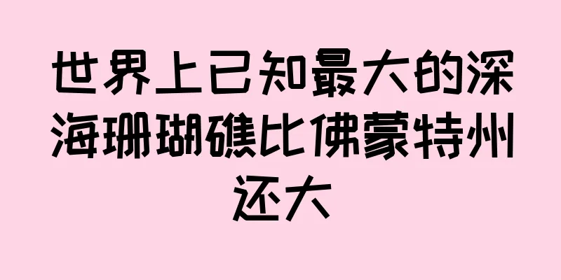 世界上已知最大的深海珊瑚礁比佛蒙特州还大
