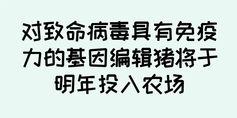 对致命病毒具有免疫力的基因编辑猪将于明年投入农场