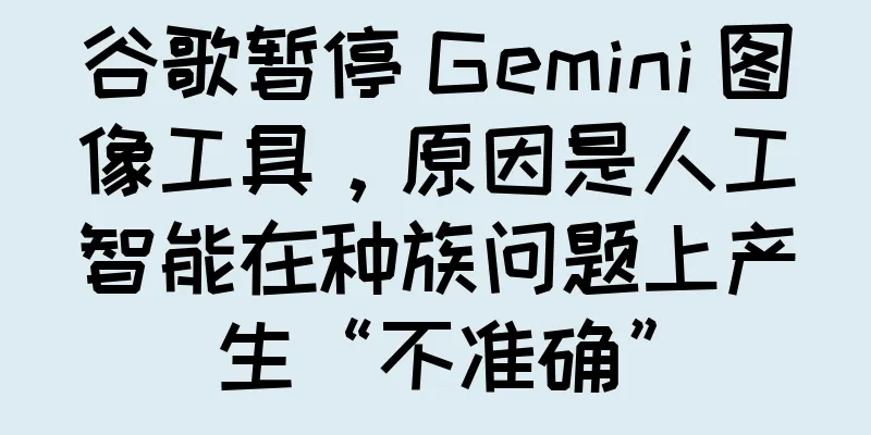 谷歌暂停 Gemini 图像工具，原因是人工智能在种族问题上产生“不准确”