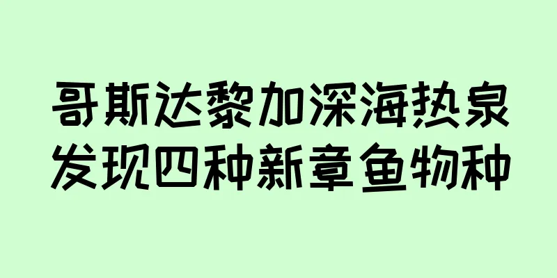 哥斯达黎加深海热泉发现四种新章鱼物种