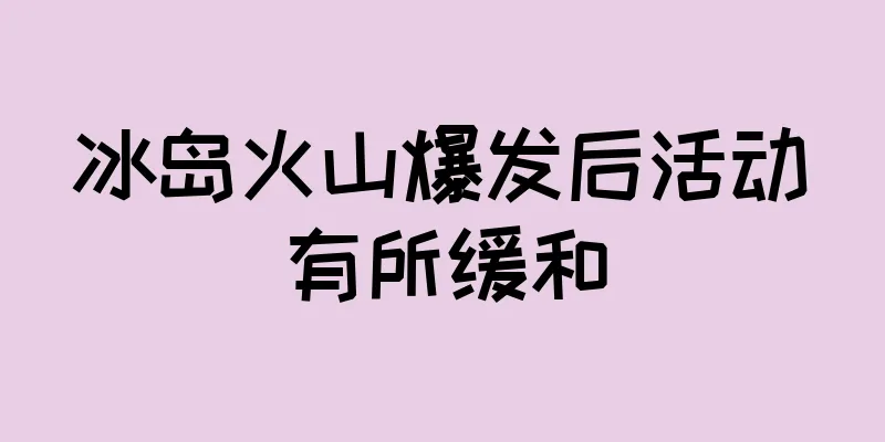 冰岛火山爆发后活动有所缓和