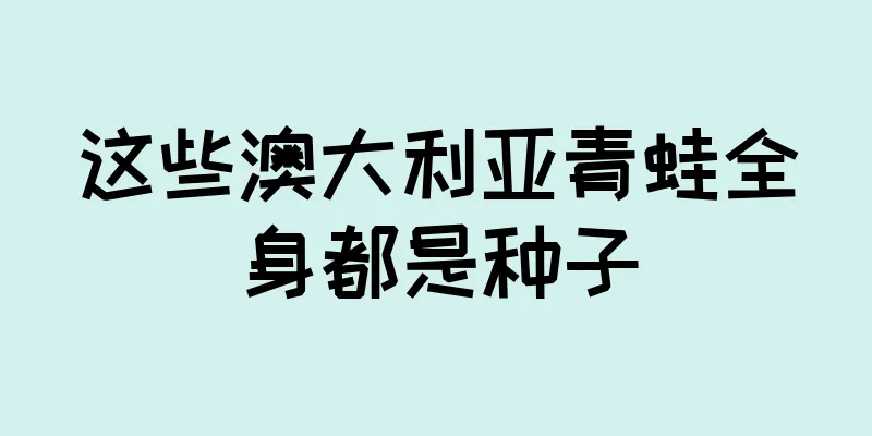 这些澳大利亚青蛙全身都是种子