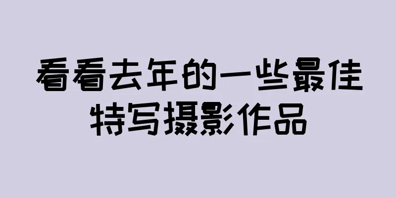 看看去年的一些最佳特写摄影作品