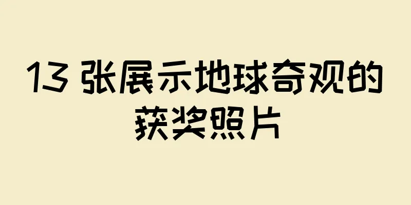 13 张展示地球奇观的获奖照片