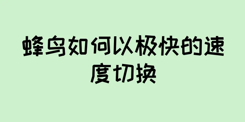蜂鸟如何以极快的速度切换