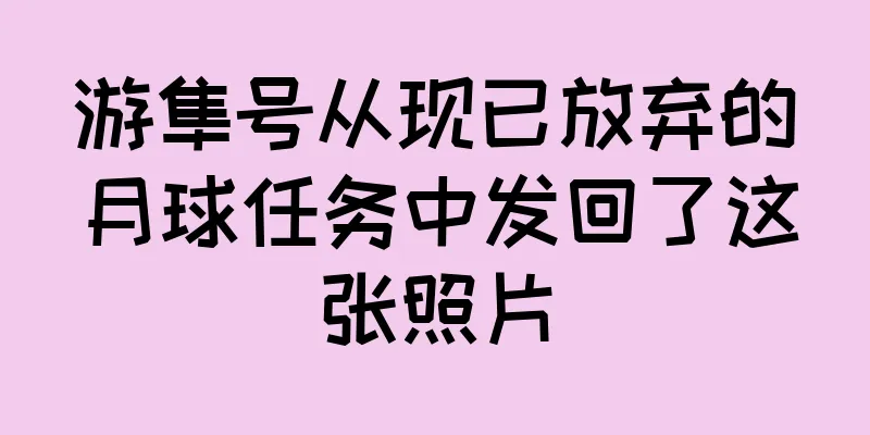 游隼号从现已放弃的月球任务中发回了这张照片