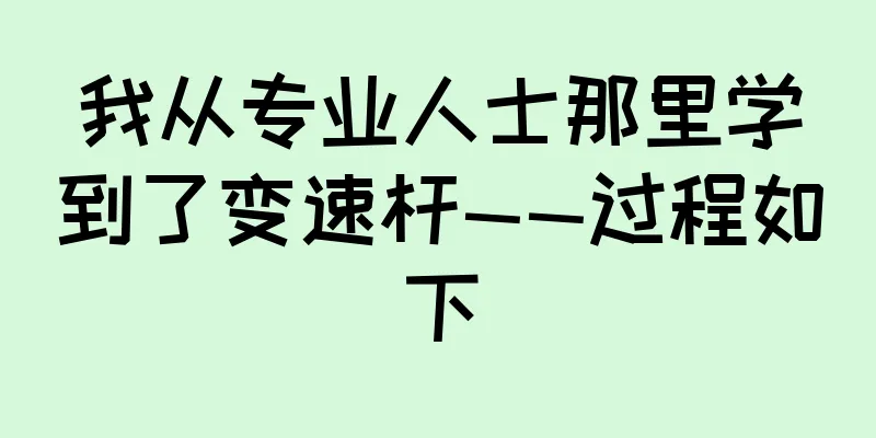 我从专业人士那里学到了变速杆——过程如下