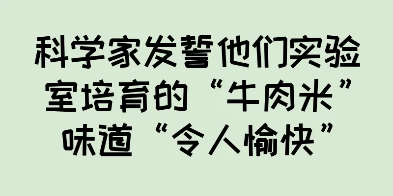 科学家发誓他们实验室培育的“牛肉米”味道“令人愉快”