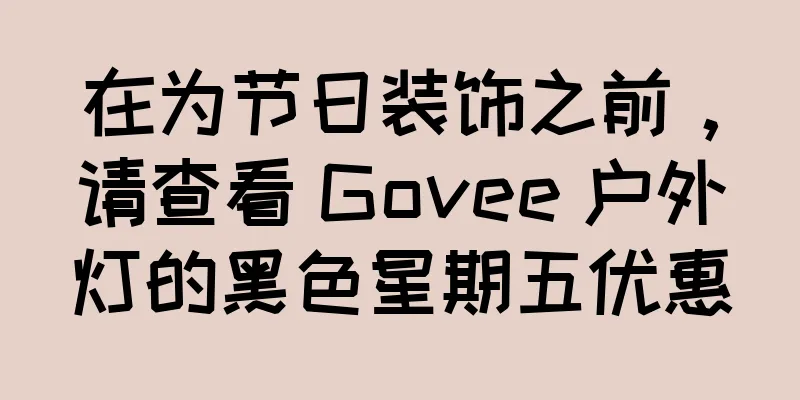 在为节日装饰之前，请查看 Govee 户外灯的黑色星期五优惠