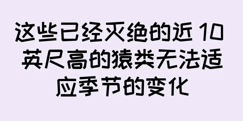 这些已经灭绝的近 10 英尺高的猿类无法适应季节的变化