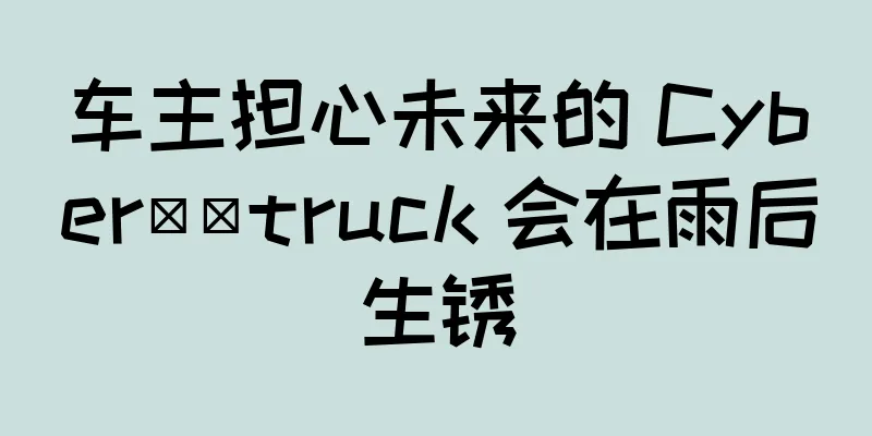 车主担心未来的 Cyber​​truck 会在雨后生锈
