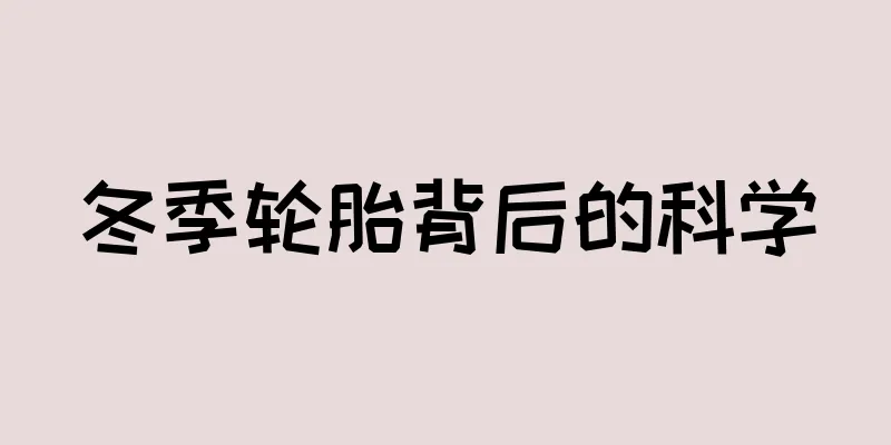 冬季轮胎背后的科学
