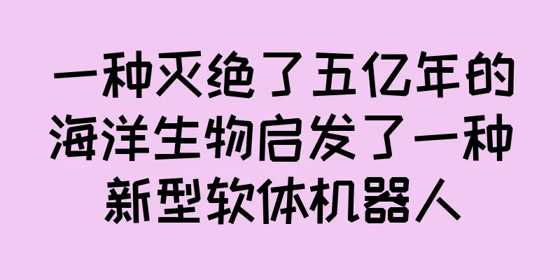 一种灭绝了五亿年的海洋生物启发了一种新型软体机器人