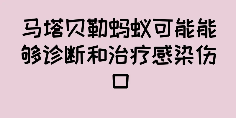 马塔贝勒蚂蚁可能能够诊断和治疗感染伤口