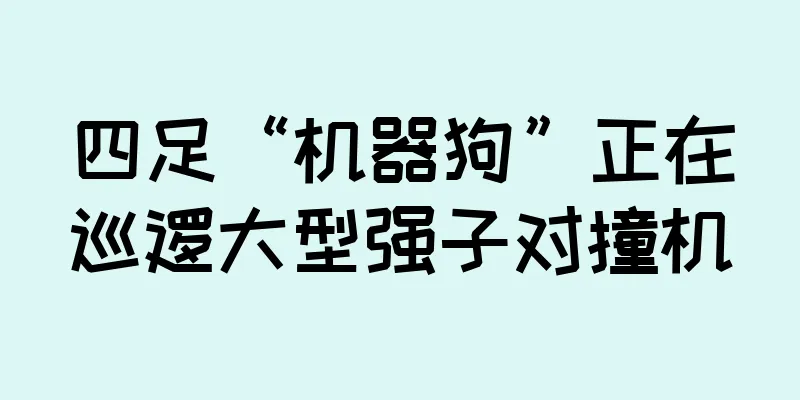 四足“机器狗”正在巡逻大型强子对撞机