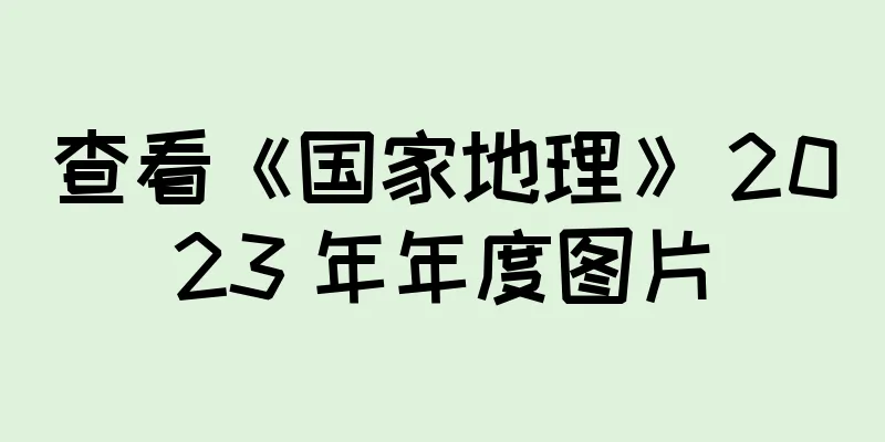 查看《国家地理》 2023 年年度图片