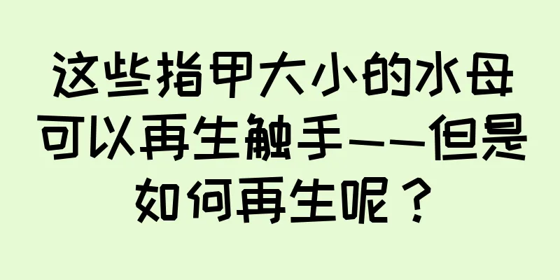 这些指甲大小的水母可以再生触手——但是如何再生呢？