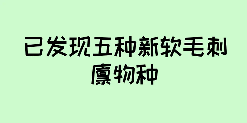 已发现五种新软毛刺猬物种