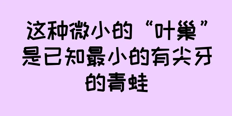 这种微小的“叶巢”是已知最小的有尖牙的青蛙