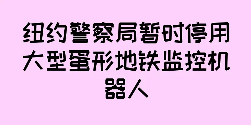 纽约警察局暂时停用大型蛋形地铁监控机器人