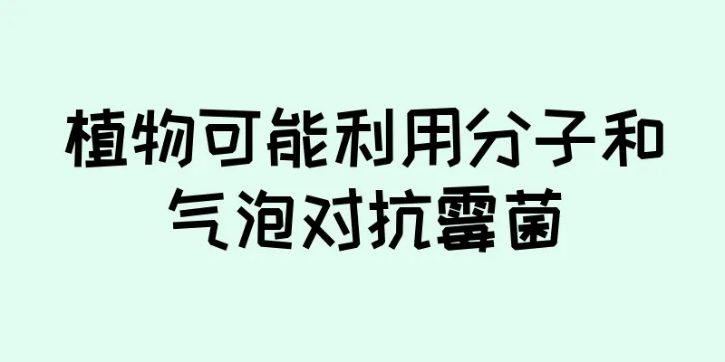 植物可能利用分子和气泡对抗霉菌