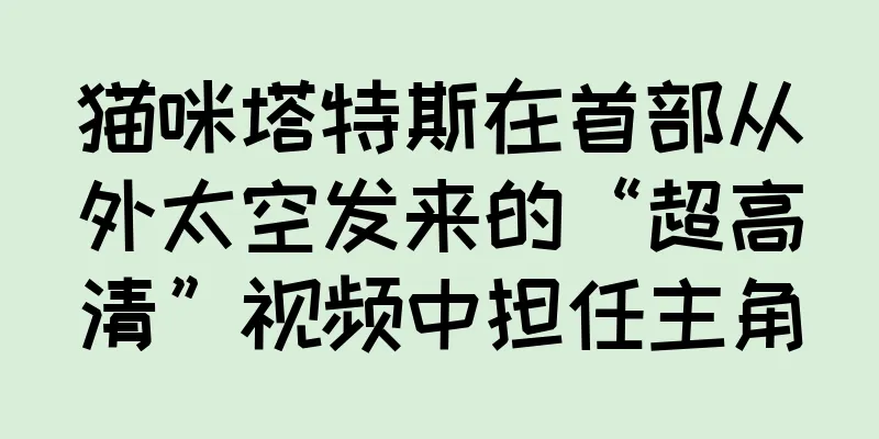 猫咪塔特斯在首部从外太空发来的“超高清”视频中担任主角