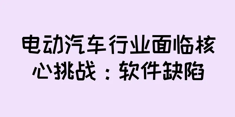 电动汽车行业面临核心挑战：软件缺陷