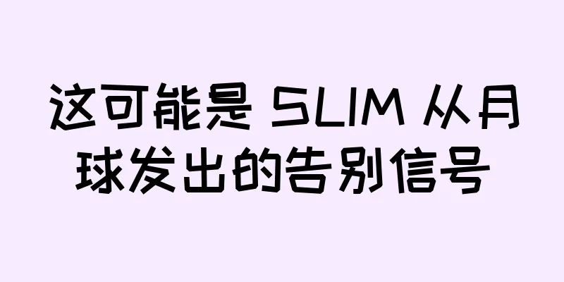 这可能是 SLIM 从月球发出的告别信号
