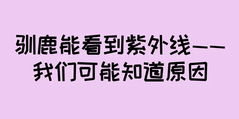 驯鹿能看到紫外线——我们可能知道原因